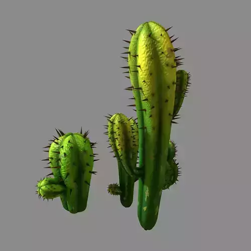 Fox Qishan - Crescent Spring - cactus