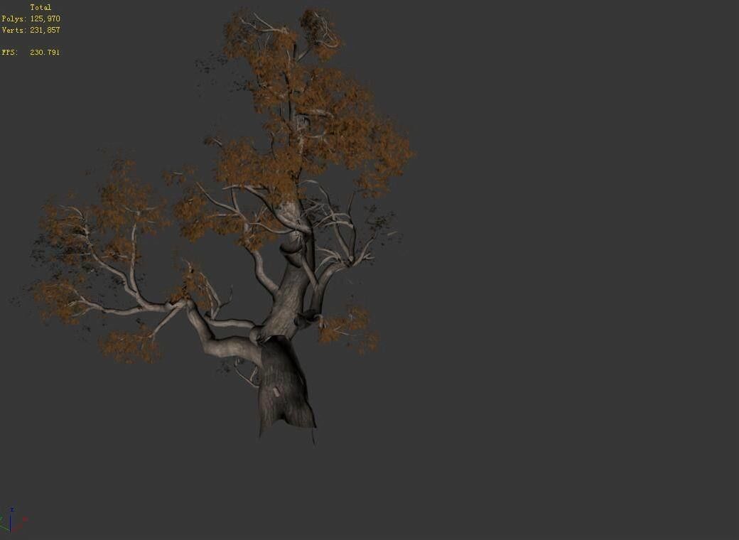 Huashan - Plant - Tree 01 3D model_4
