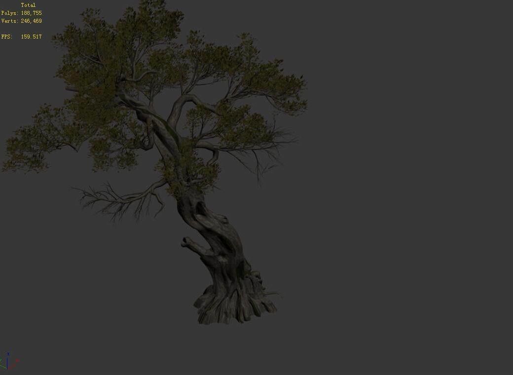 Huashan - plant - tree 02 3D model_3