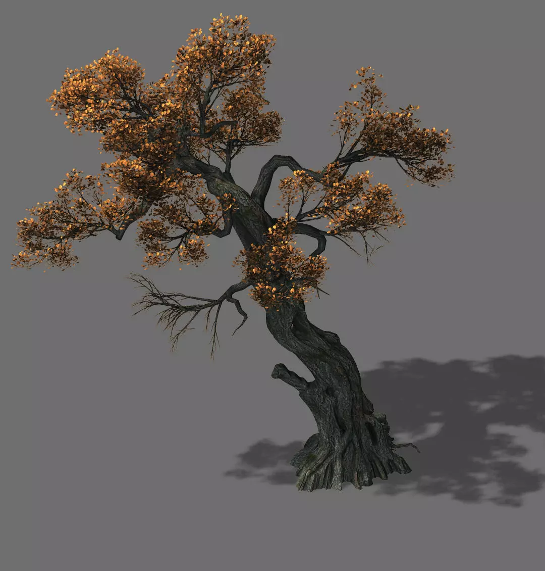 Huashan - plant - tree 02 3D model_0