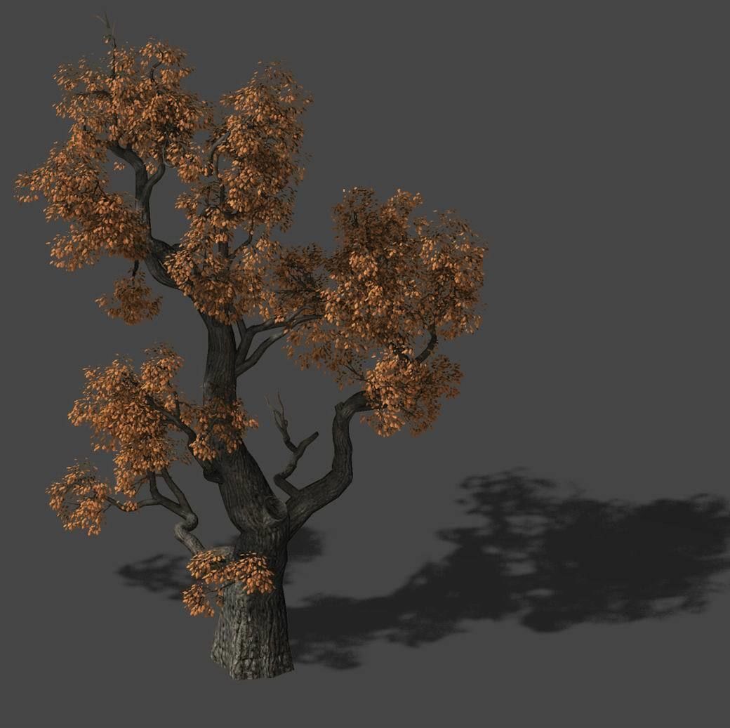 Huashan - plant - tree 03 3D model_2