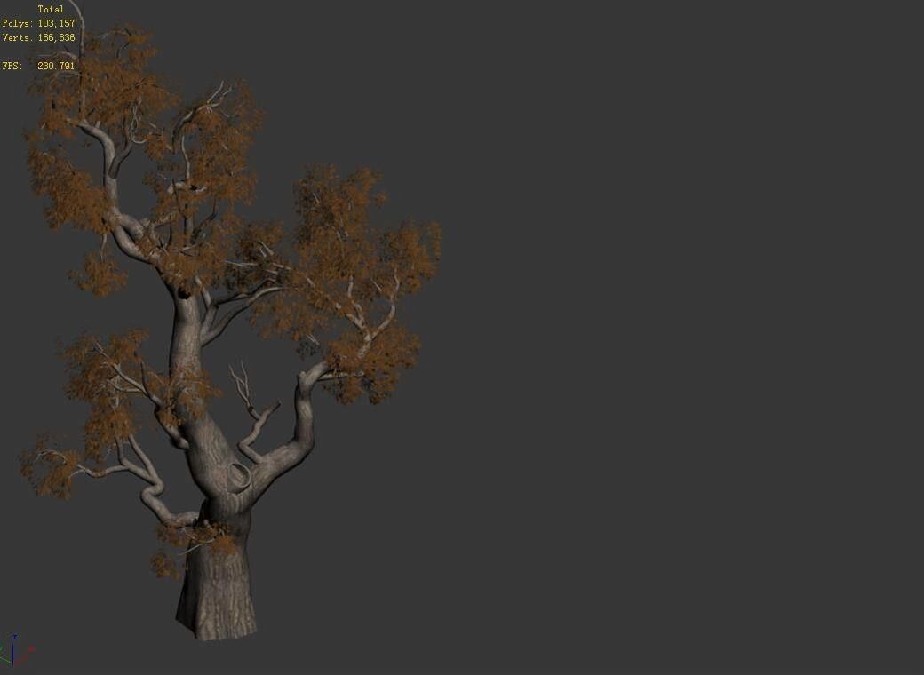 Huashan - plant - tree 03 3D model_4