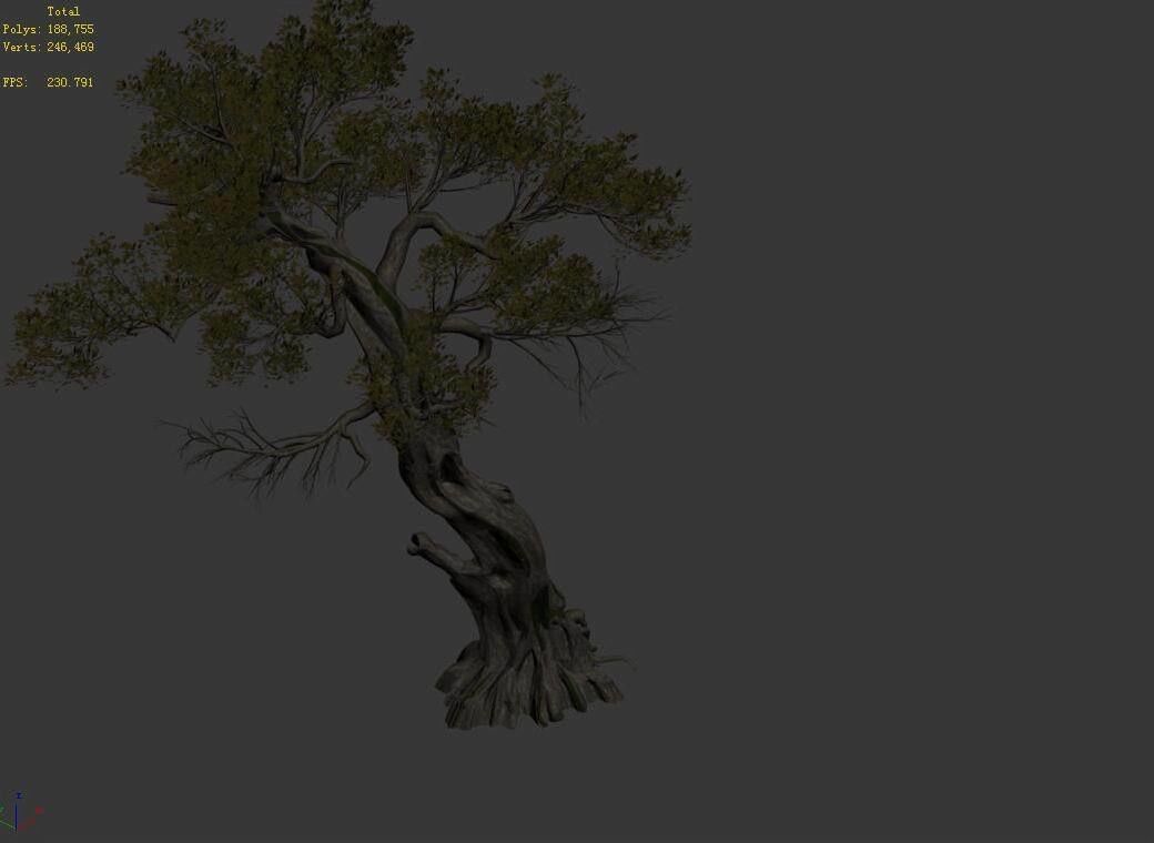 Huashan - plant - tree 04 3D model_3