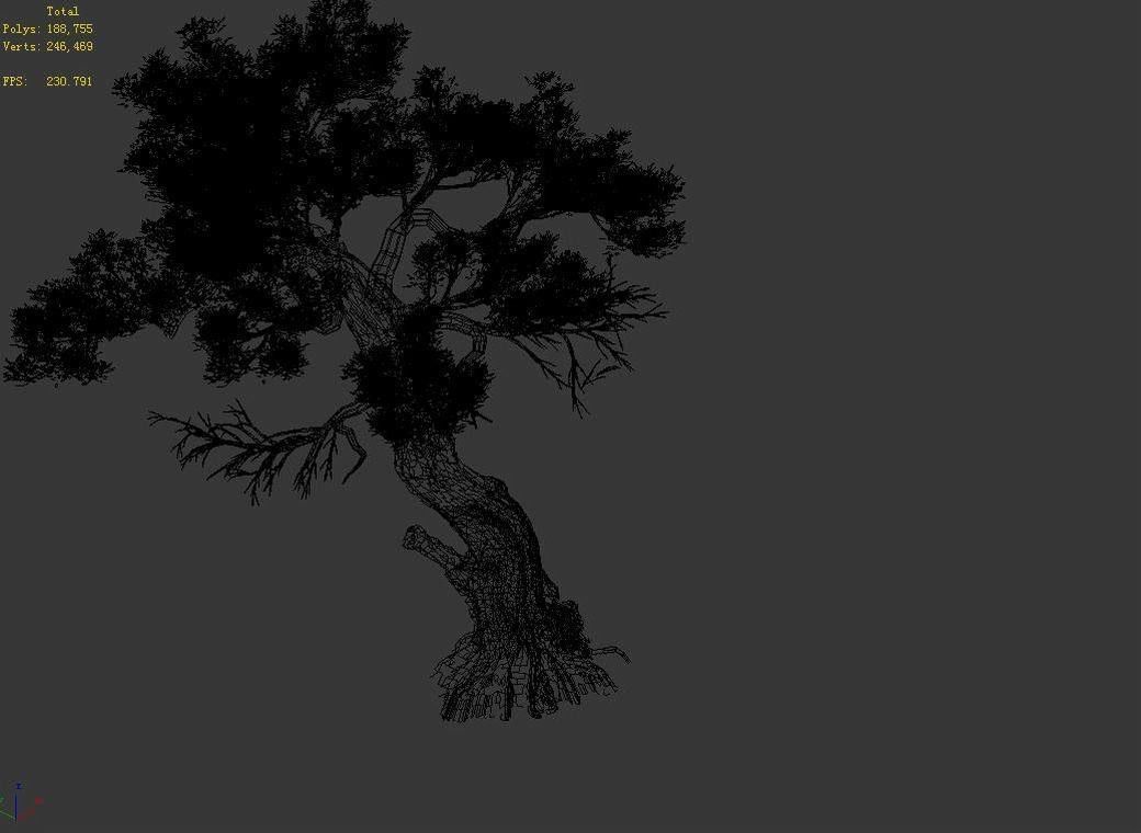 Huashan - plant - tree 04 3D model_2