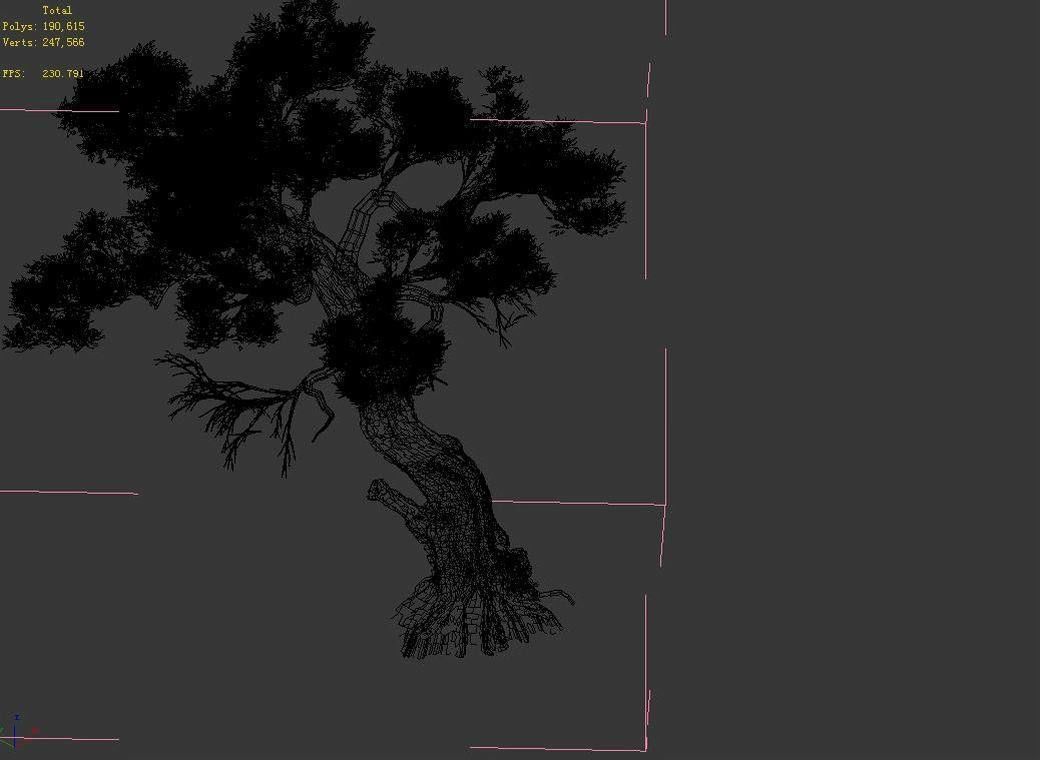 Huashan - plant - tree 05 3D model_2