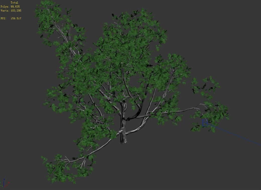 Huashan - plant - tree 07 3D model_3