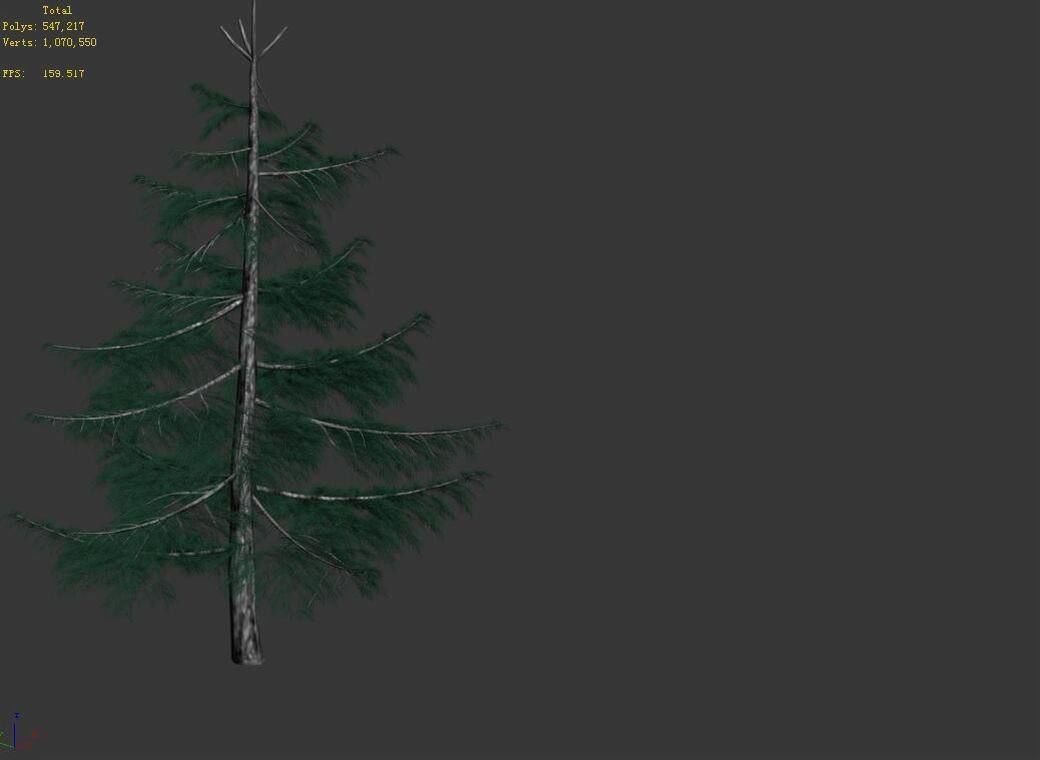 Huashan - Plants - Pine 01 3D model_3
