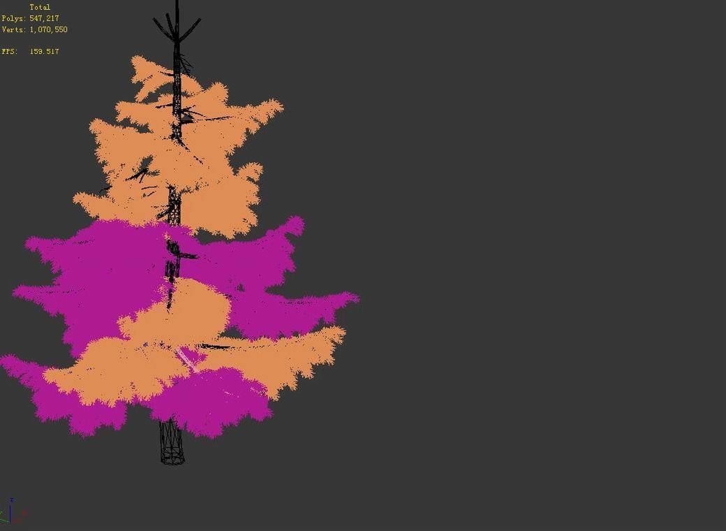 Huashan - Plants - Pine 01 3D model_2
