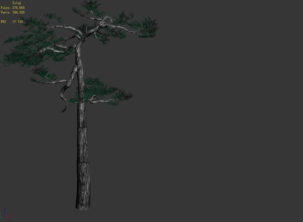 Huashan - Plant - Pine 04 3D model_3
