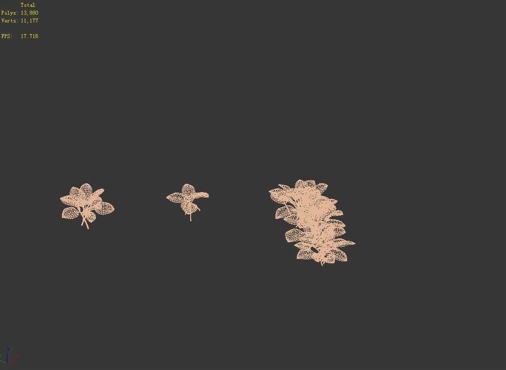 Huashan - plants - small plants 01 3D model_9