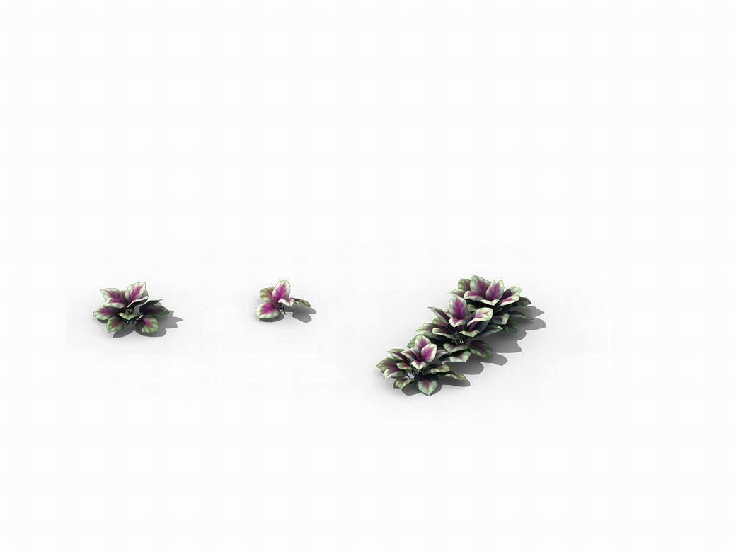 Huashan - plants - small plants 01 3D model_3