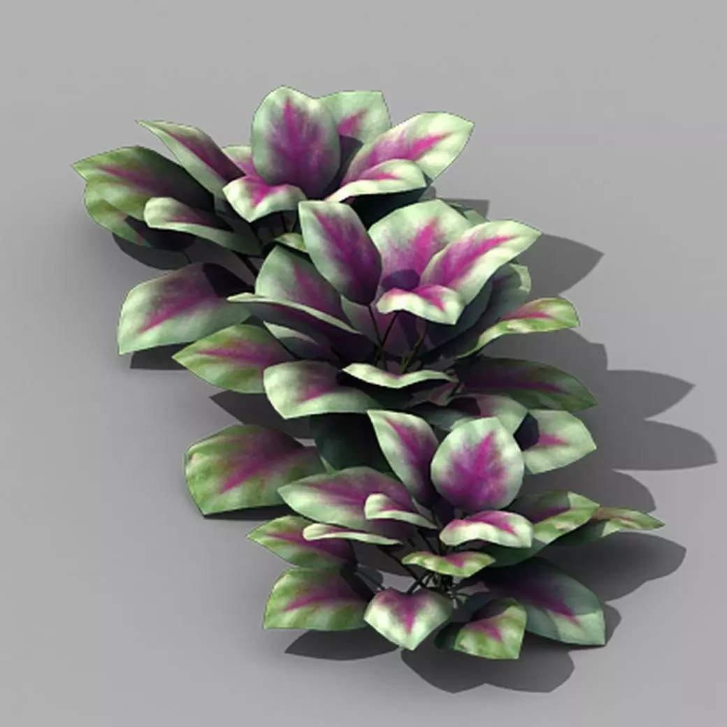 Huashan - plants - small plants 01 3D model_0