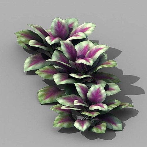 Huashan - plants - small plants 01 3D model