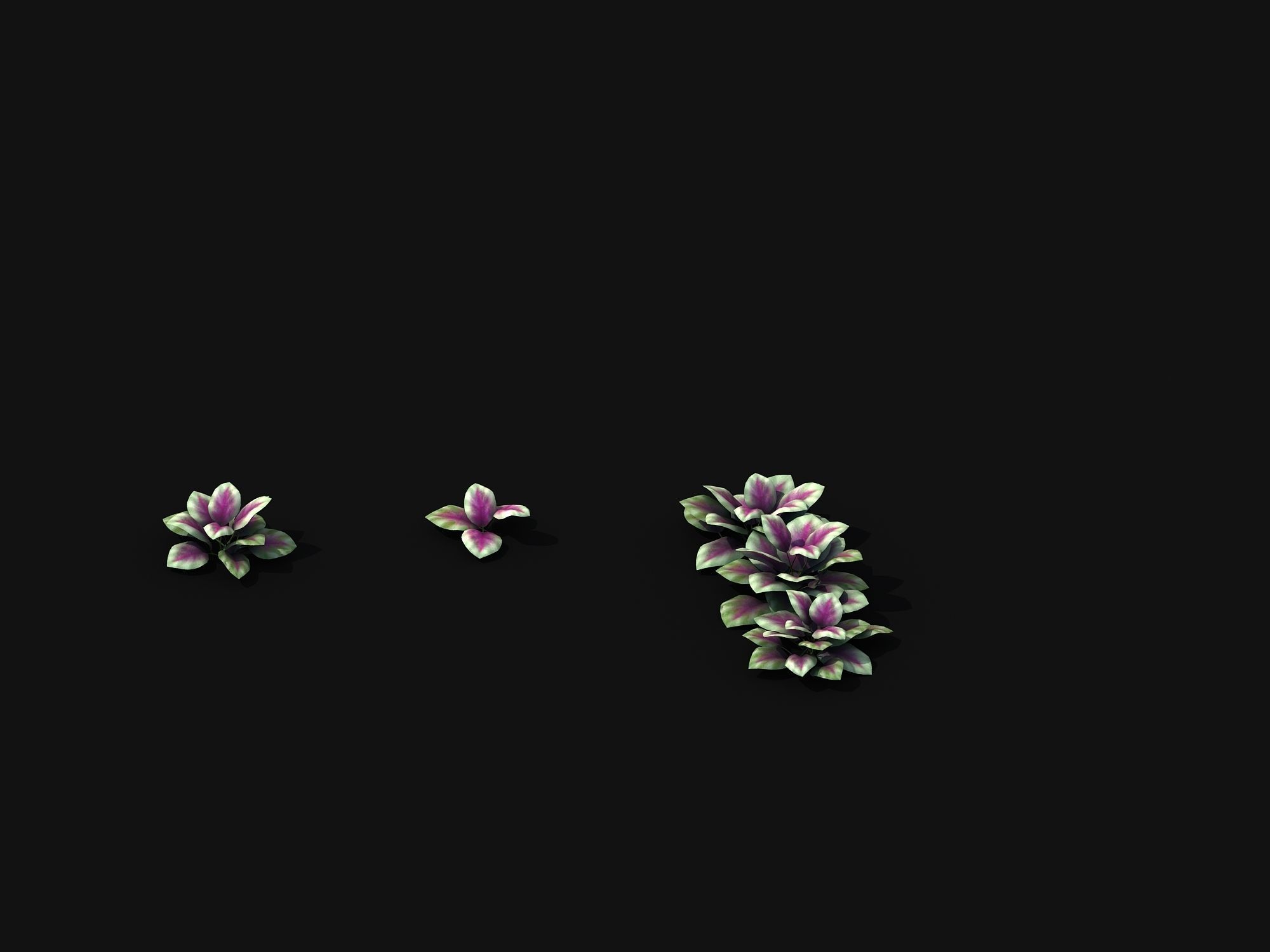 Huashan - plants - small plants 01 3D model_2