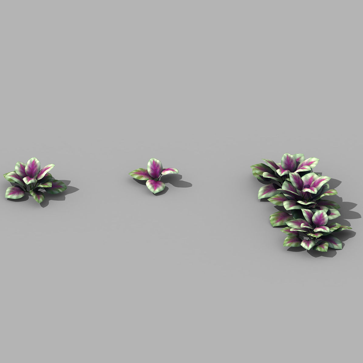 Huashan - plants - small plants 01 3D model_1