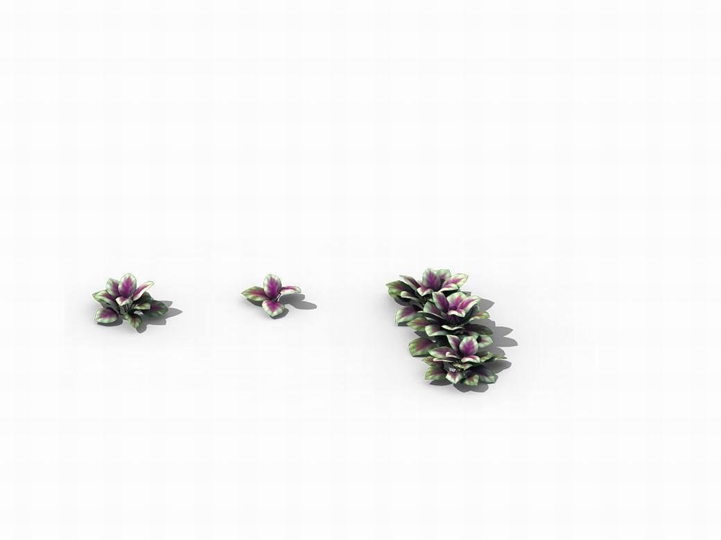 Huashan - plants - small plants 01 3D model_7