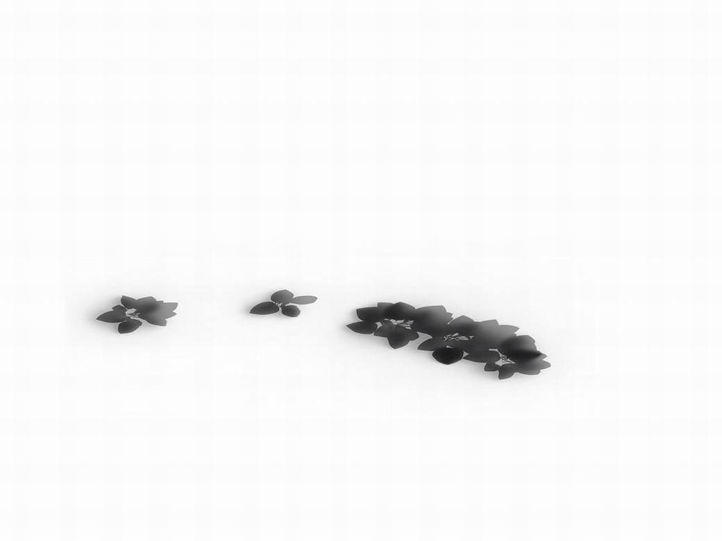 Huashan - plants - small plants 01 3D model_6