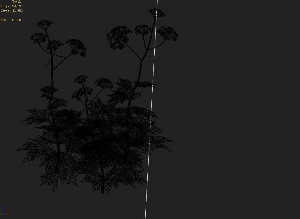 Huashan - Plants - Wildflowers 02 3D model_2