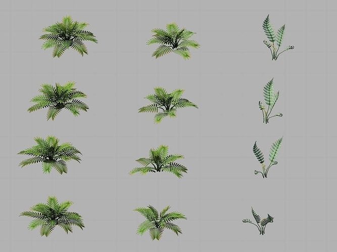 Huashan - plants - weeds 3D model