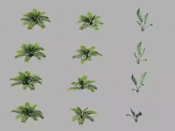 Huashan - plants - weeds