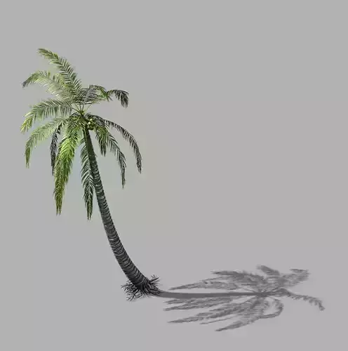 Huangguoshu Waterfall - Coconut Tree 01