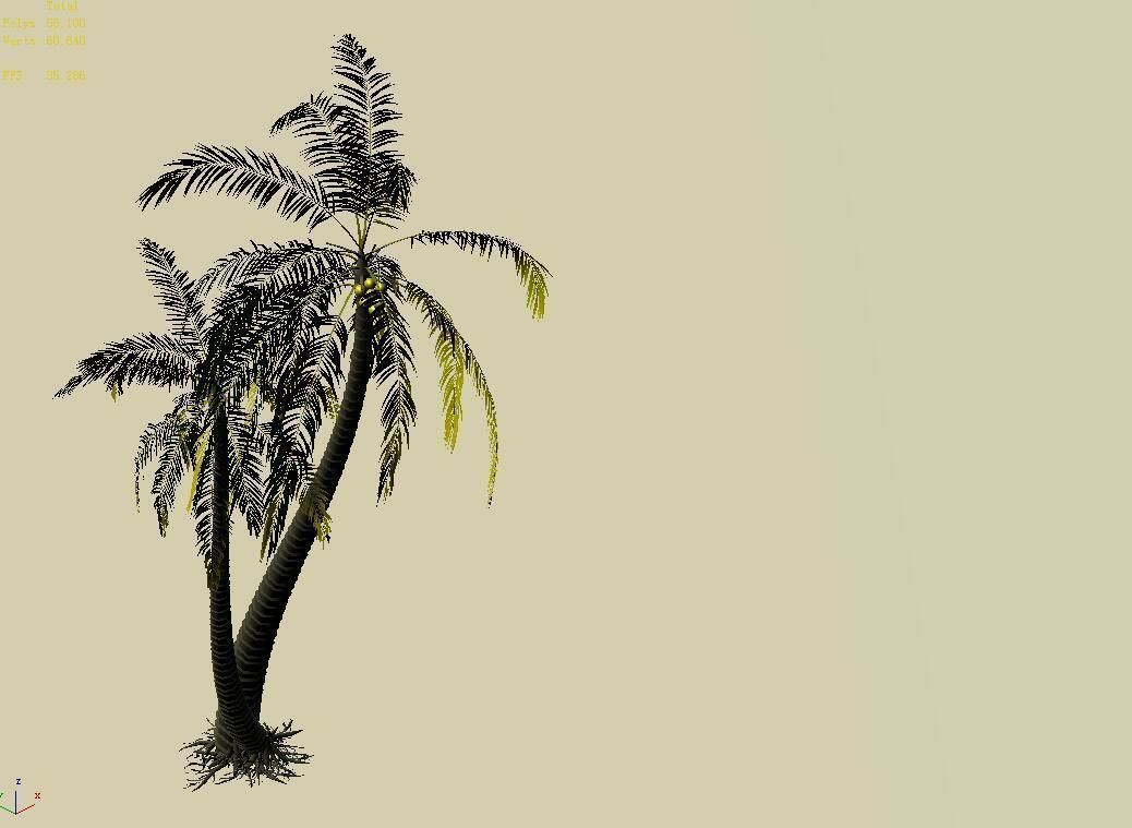Huangguoshu Waterfall - Coconut Tree 02 3D model_3