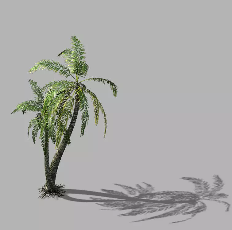 Huangguoshu Waterfall - Coconut Tree 02 3D model_0