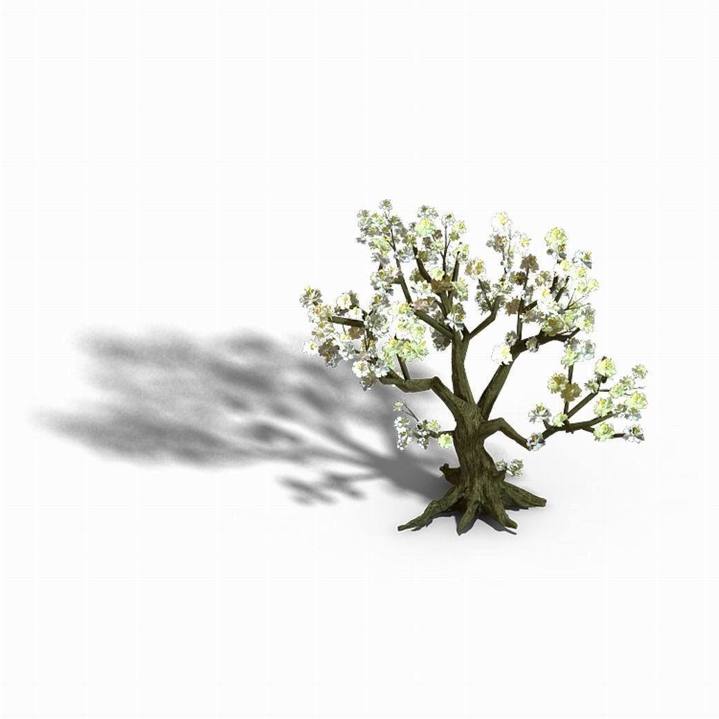 Capital City - White Tree 01 3D model_1