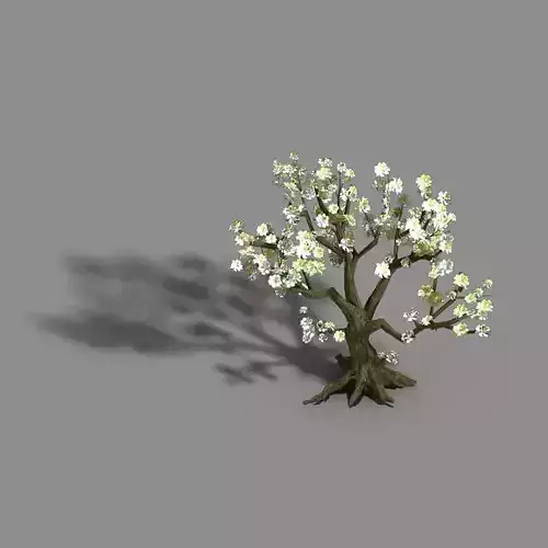 Capital City - White Tree 01