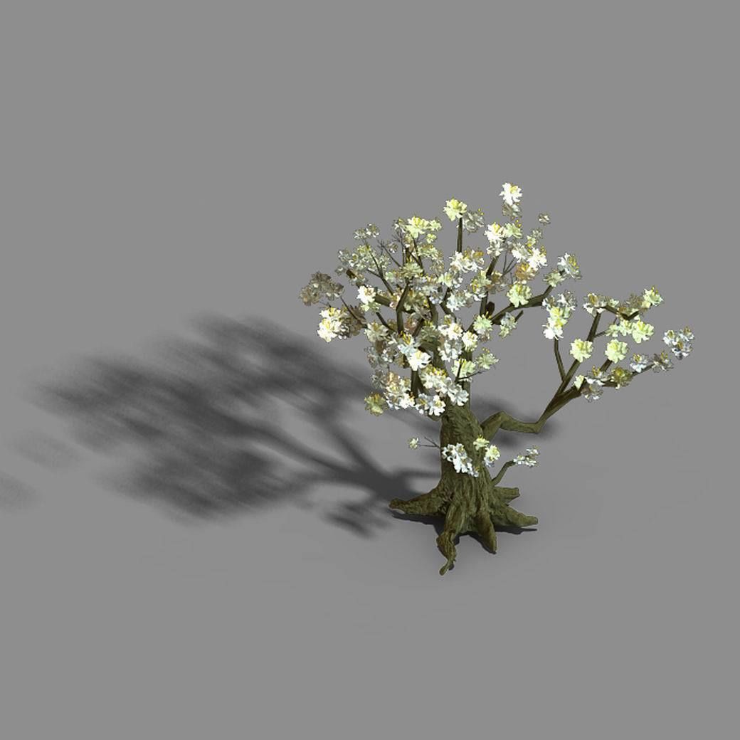 Capital City - White Tree 01 3D model_2