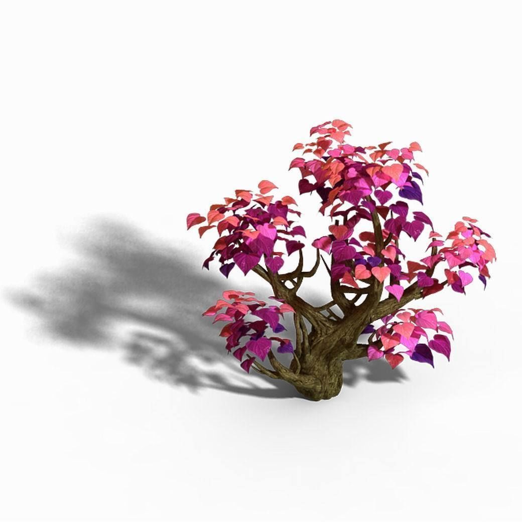 Capital - pink tree 01 3D model_1