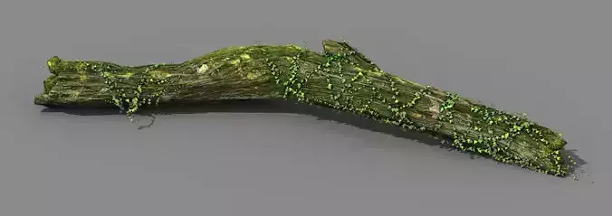 Elven mountains - green algae - dead trees 02