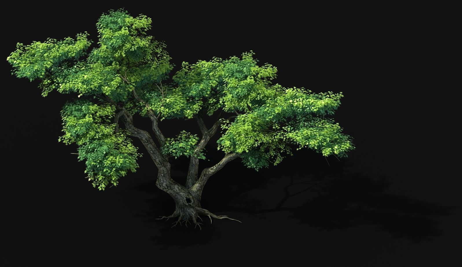 Fairy Mountains - Tree 01 3D model_4
