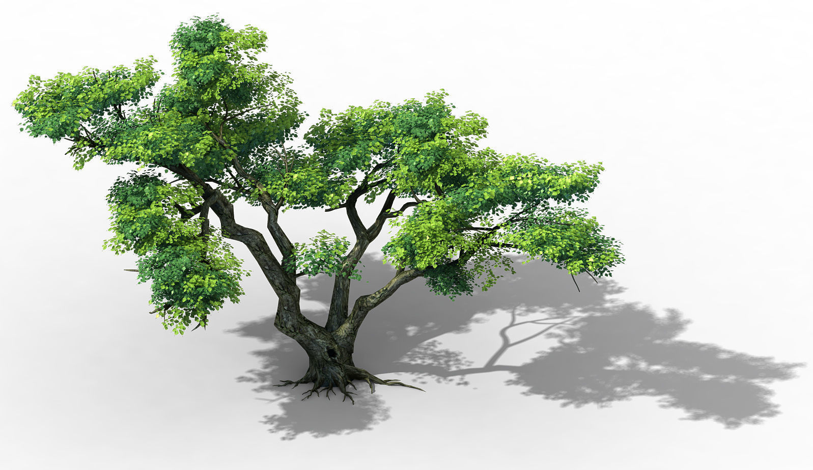 Fairy Mountains - Tree 01 3D model_1