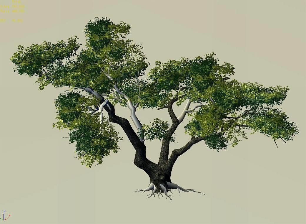 Fairy Mountains - Tree 01 3D model_3
