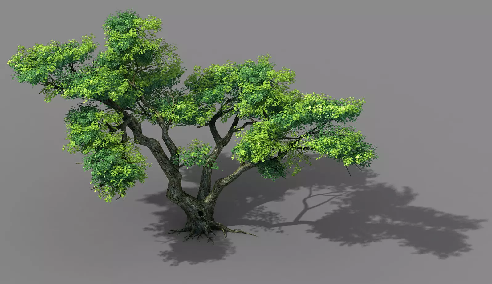 Fairy Mountains - Tree 01 3D model_0