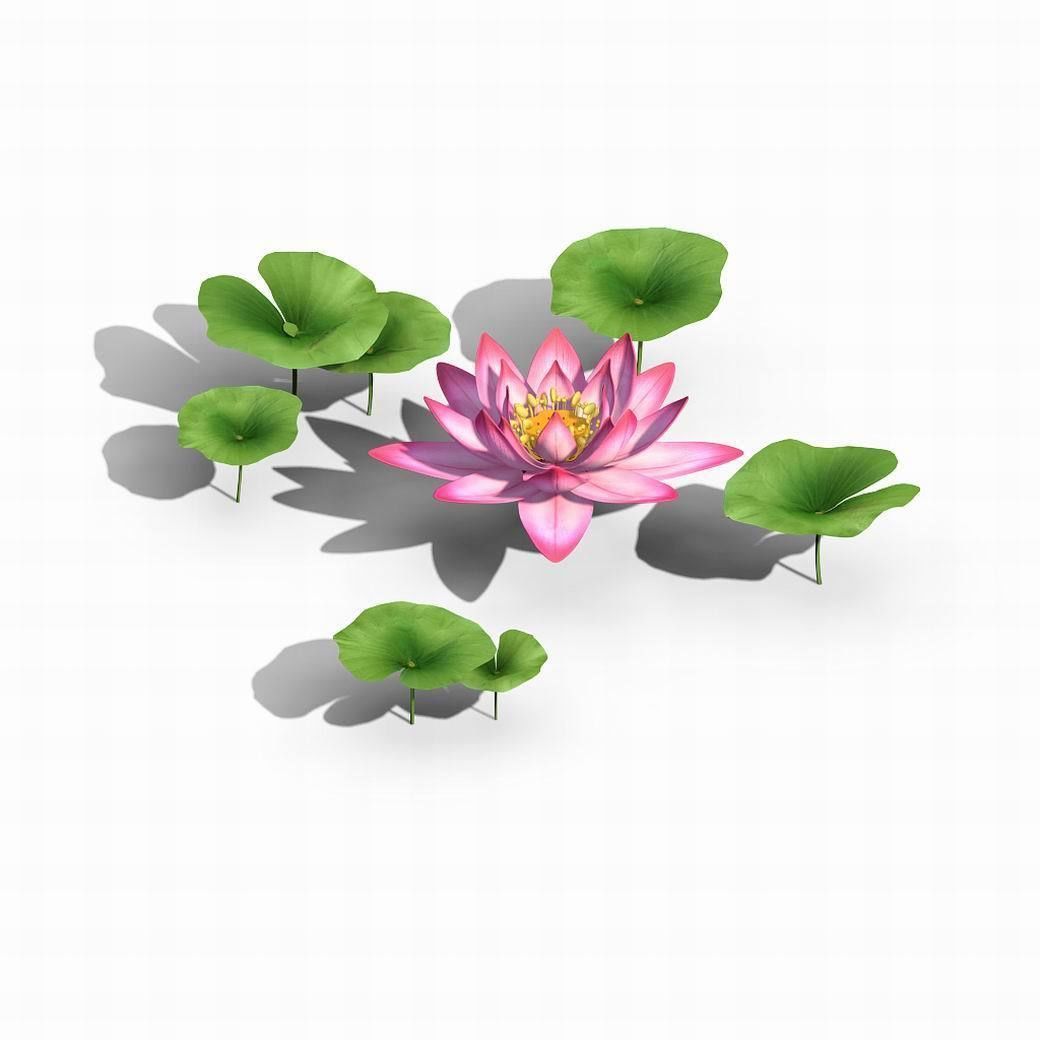 Elves Villa - lotus 01 3D model_1