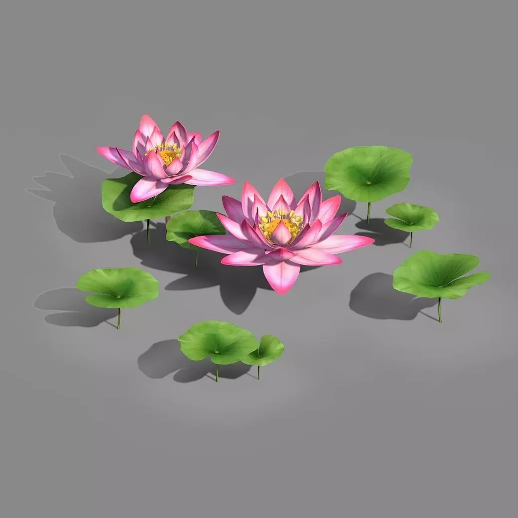 Elves Villa - lotus 02 3D model_0