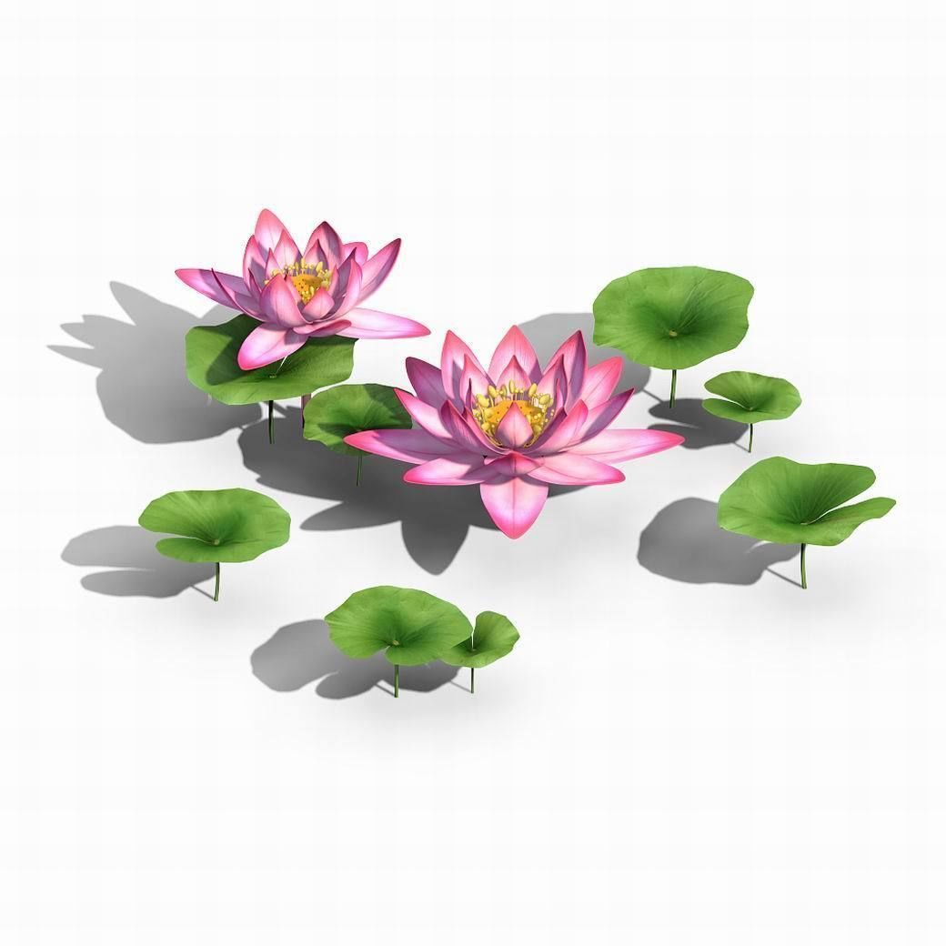 Elves Villa - lotus 02 3D model_1