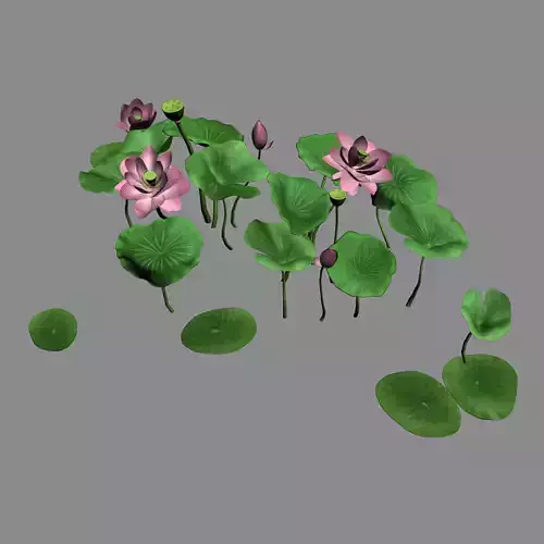 Elves Villa - lotus 04