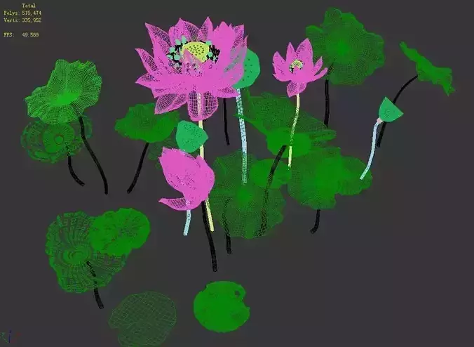 Elves Villa - lotus 05