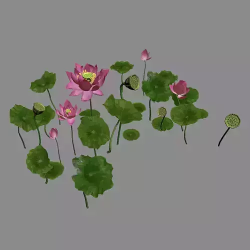 Elves Villa - lotus 06