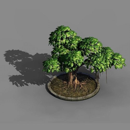 Elven Villa - Broadleaf 01 3D model