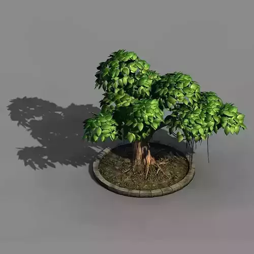 Elven Villa - Broadleaf 01