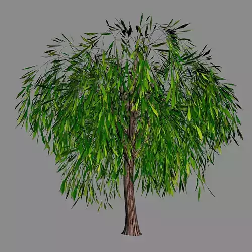 Elven Villa - Broadleaf 02