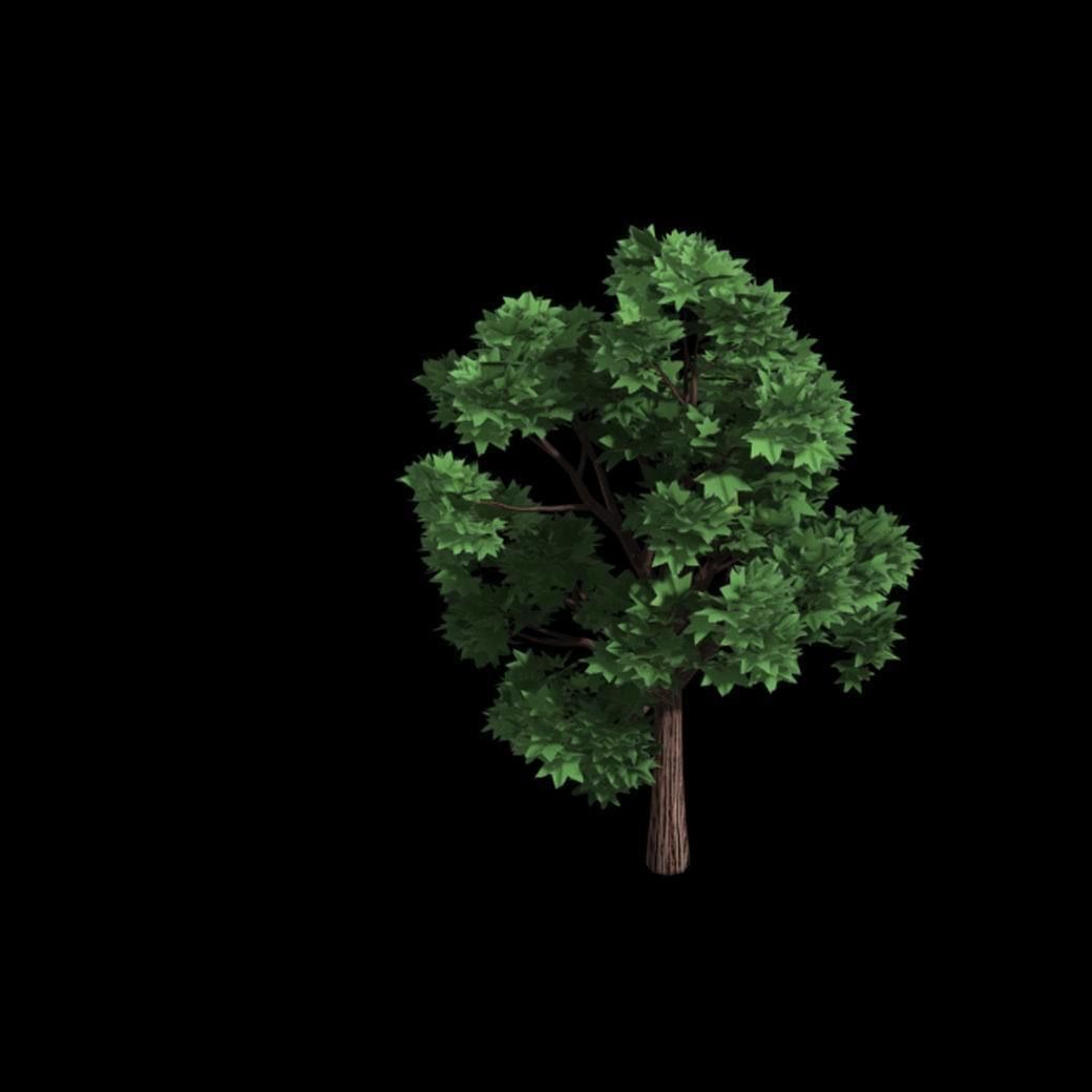 Elven Villa - Broadleaf 04 3D model_2