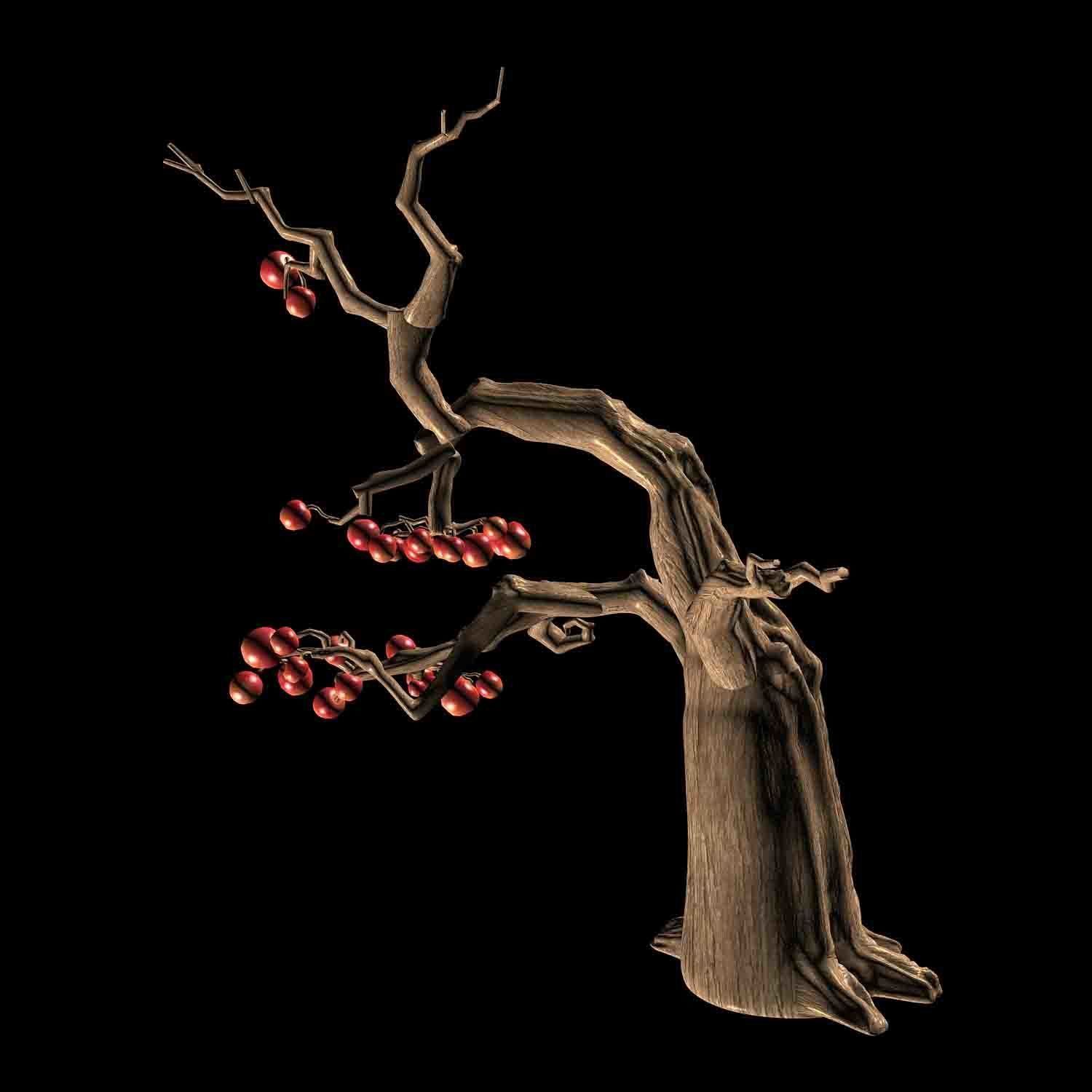 Empty Mulberry - Tree 01 3D model_3