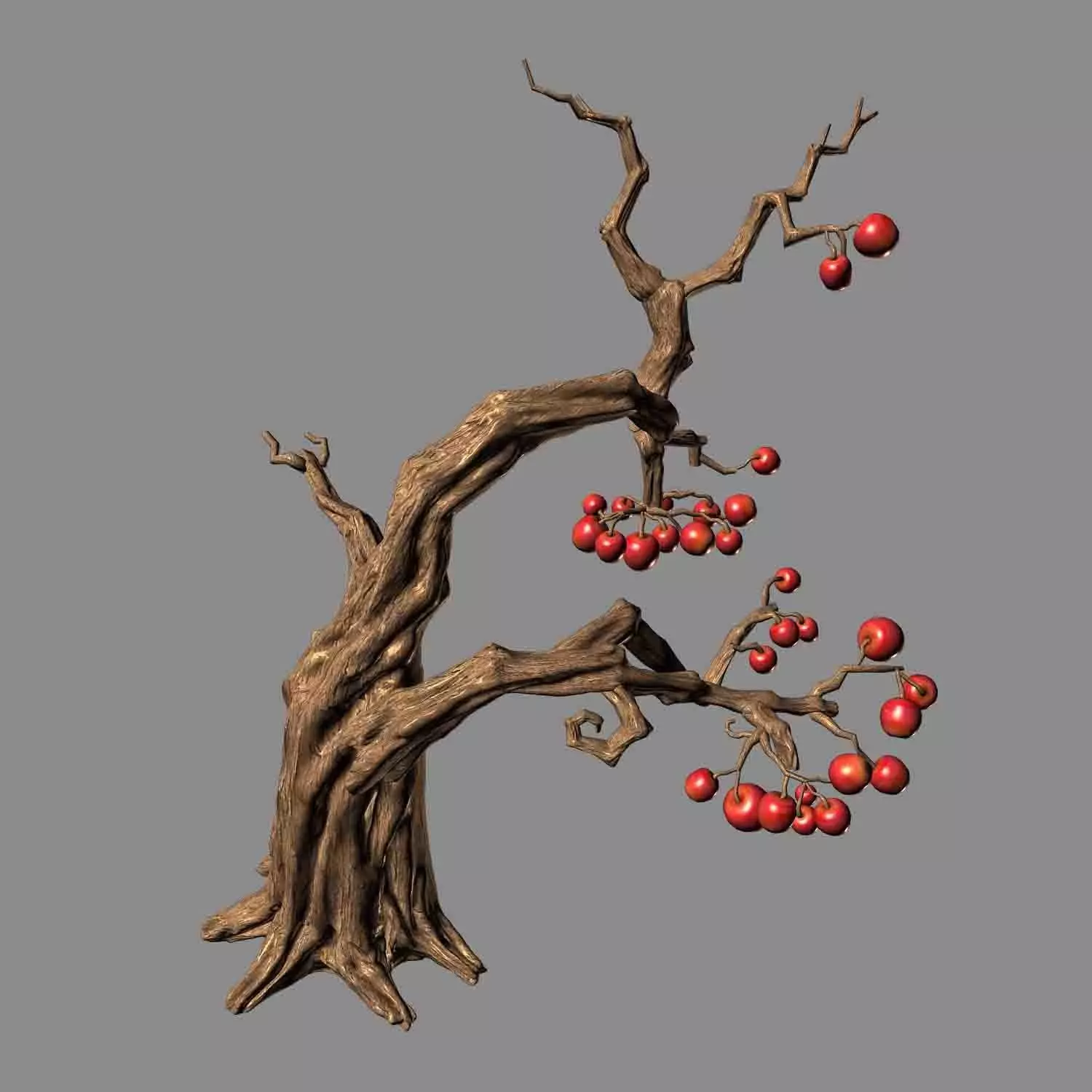 Empty Mulberry - Tree 01 3D model_0