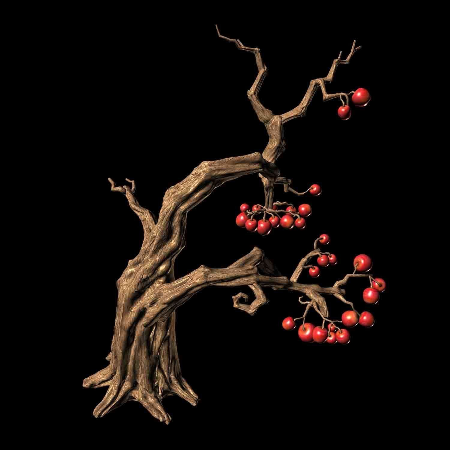 Empty Mulberry - Tree 01 3D model_2