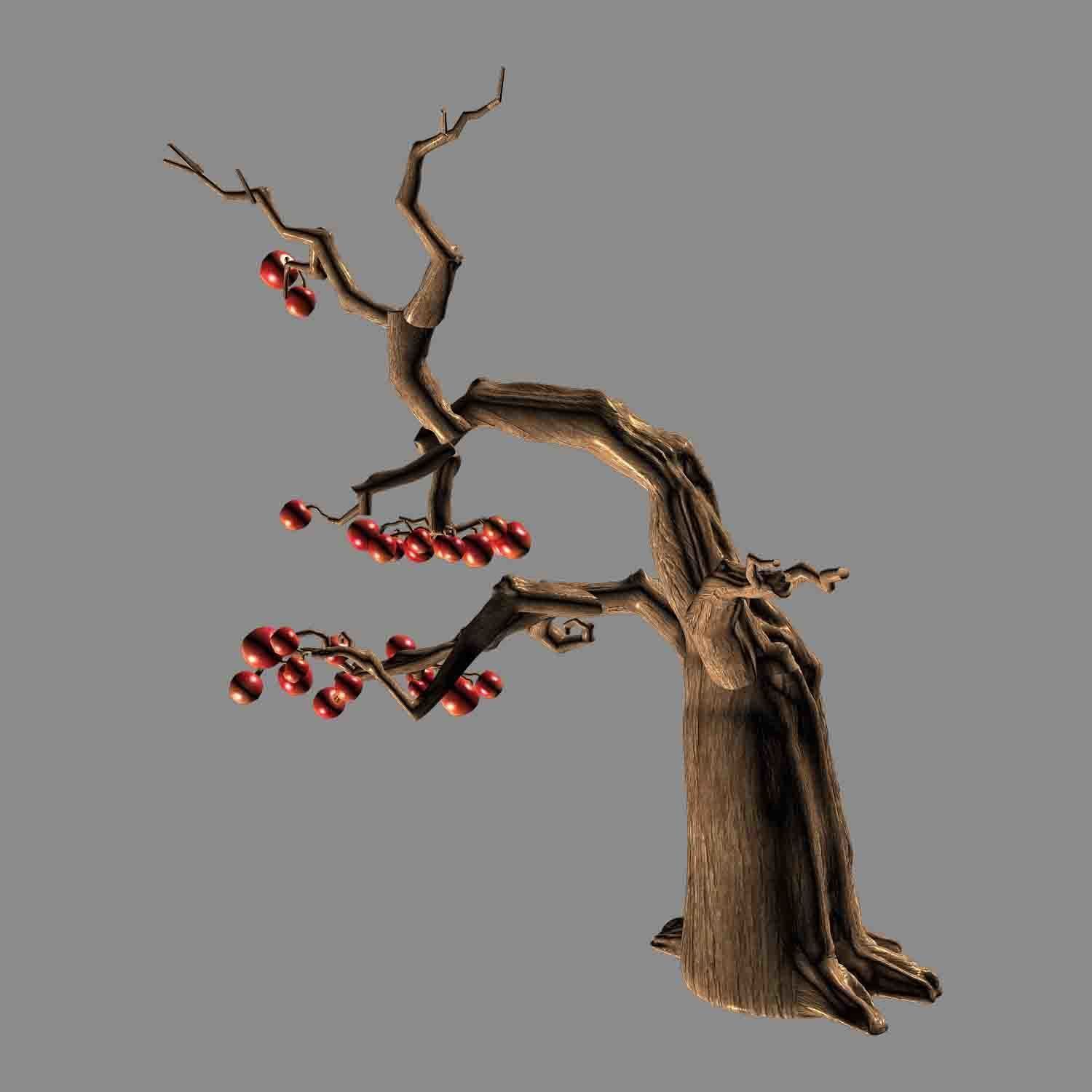 Empty Mulberry - Tree 01 3D model_1